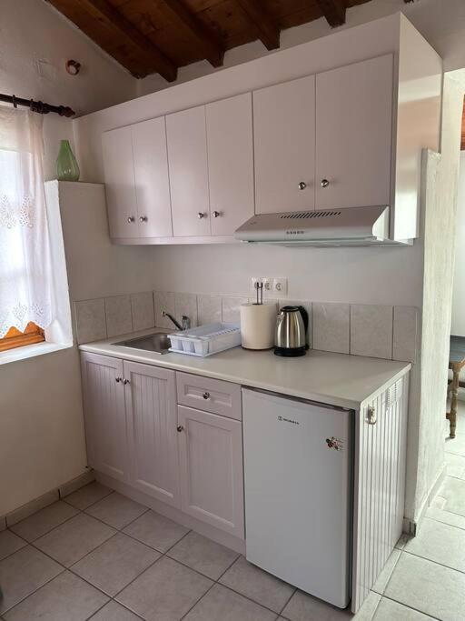 Amalia Beach Apartment Kokkari Zewnętrze zdjęcie